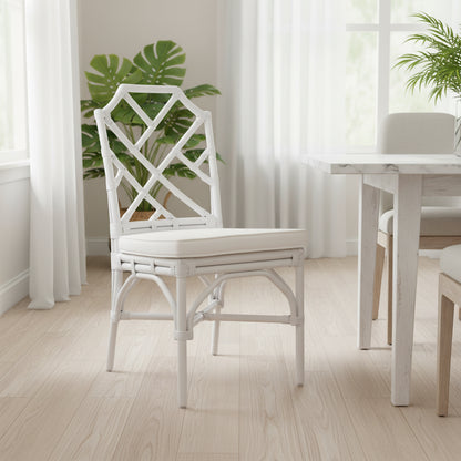 Chaises de salle à manger en rotin, (Lot de 2)