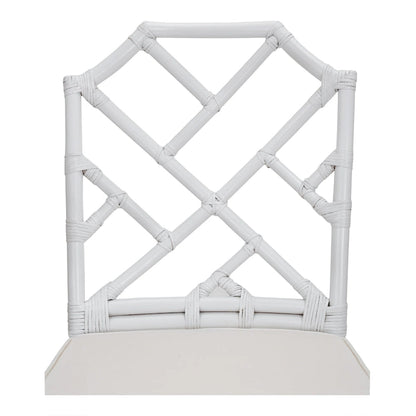 Chaises de salle à manger en rotin, (Lot de 2)